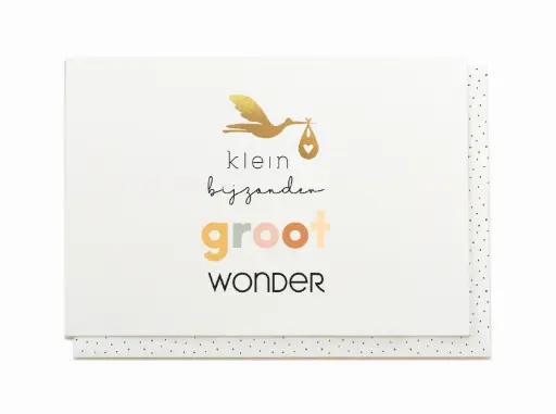 [JTS8283] KLEIN BIJZONDER GROOT WONDER