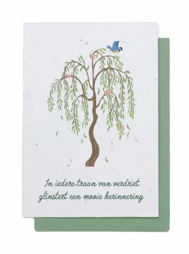 [LB6634] IN IEDERE TRAAN VAN VERDRIET GLINSTERT EEN MOOIE HERINNERING